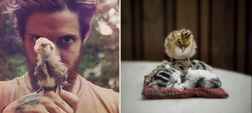 Kittens and guys