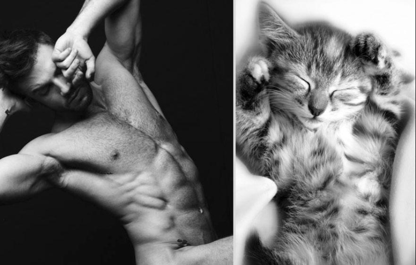 Kittens and guys