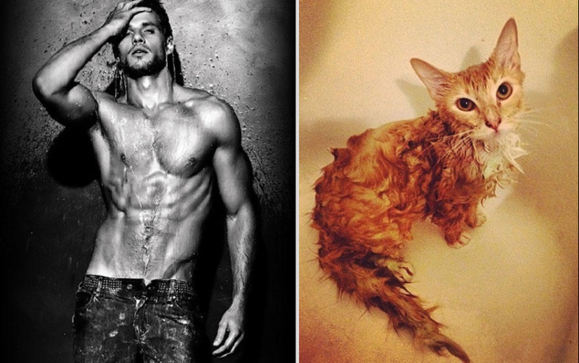Kittens and guys