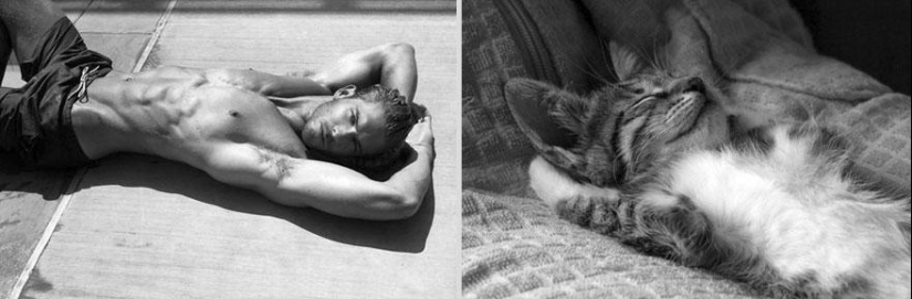 Kittens and guys