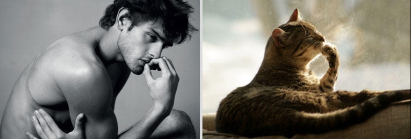 Kittens and guys