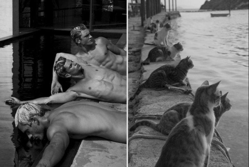 Kittens and guys