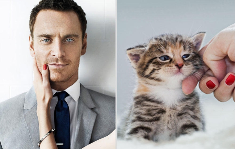 Kittens and guys