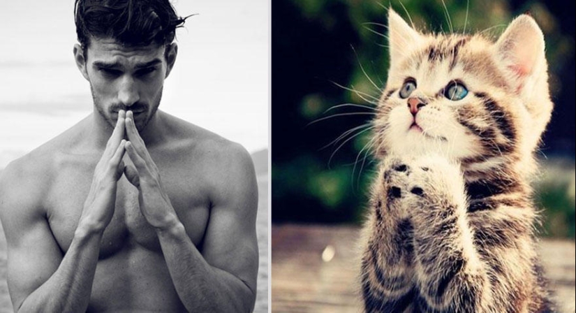 Kittens and guys