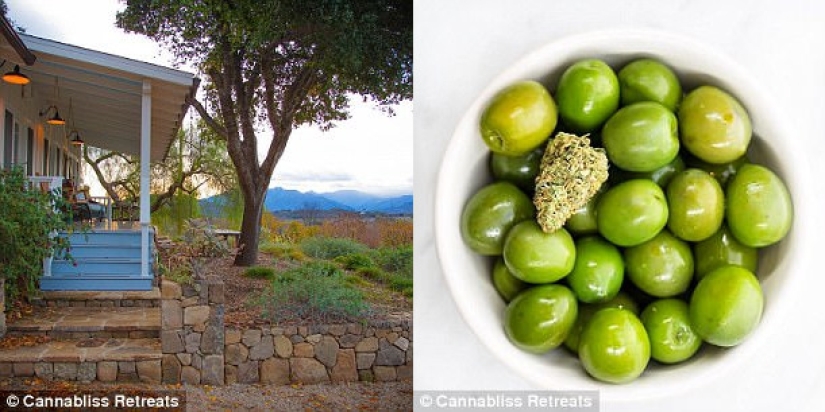 "Konoplayf": se ha abierto en Estados Unidos un centro de "yoga psicodélico" con marihuana "Konoplayf": se ha abierto en Estados Unidos un centro de "yoga psicodélico" con marihuana