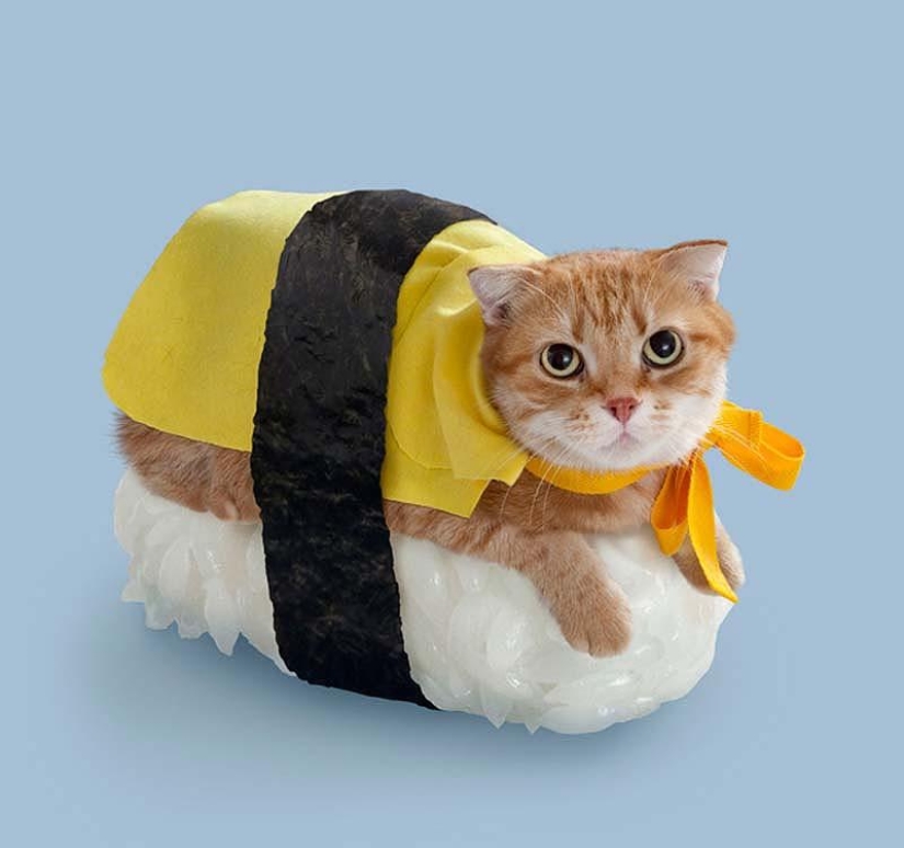 Kotosushi