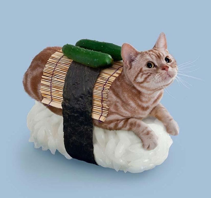 Kotosushi