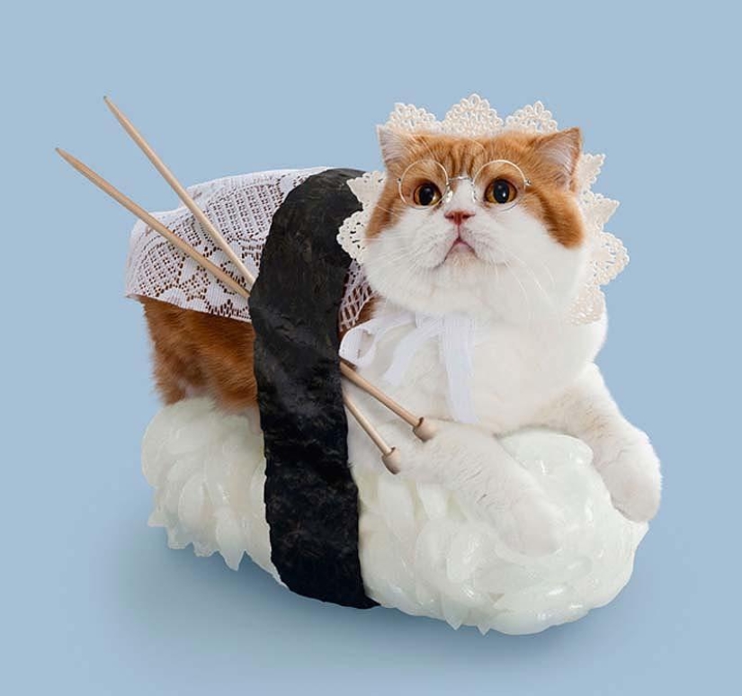 Kotosushi