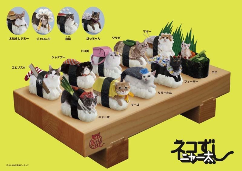 Kotosushi