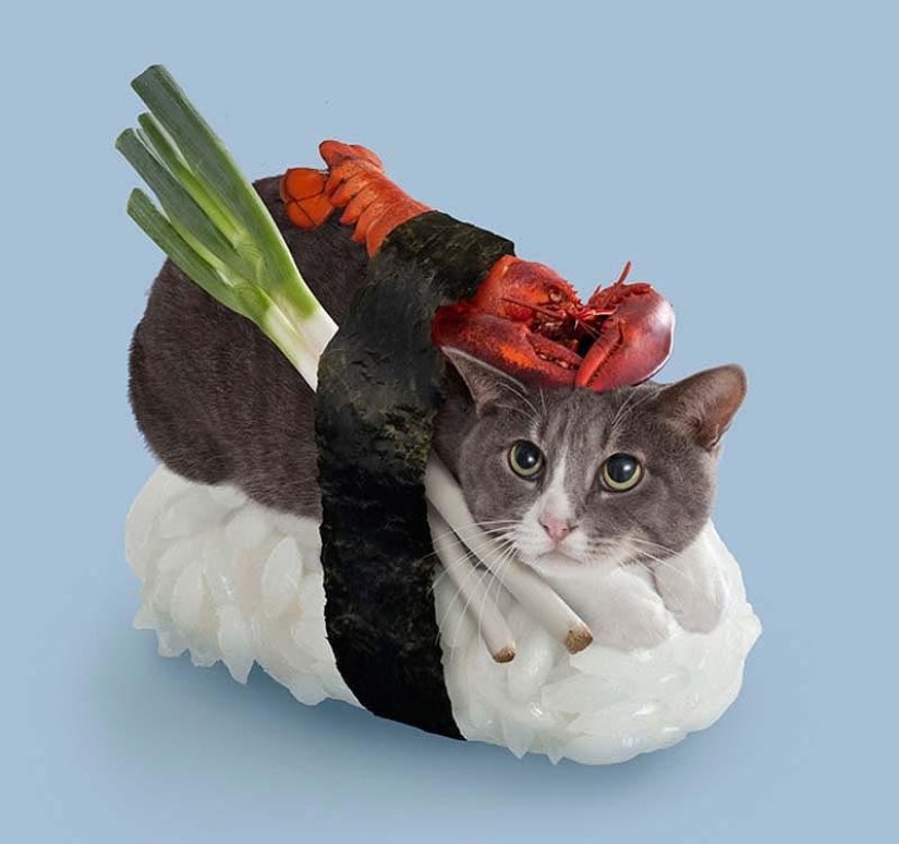Kotosushi