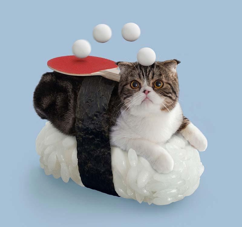 Kotosushi
