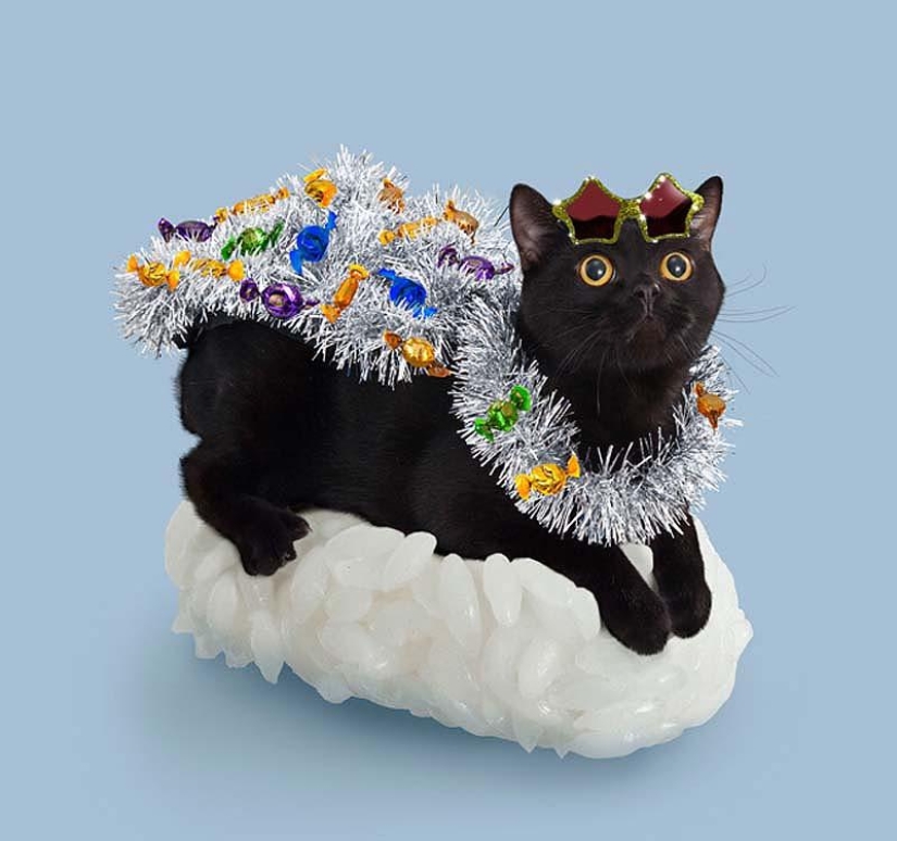 Kotosushi