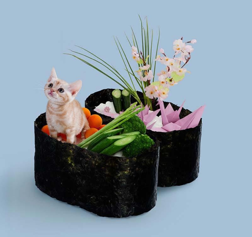 Kotosushi