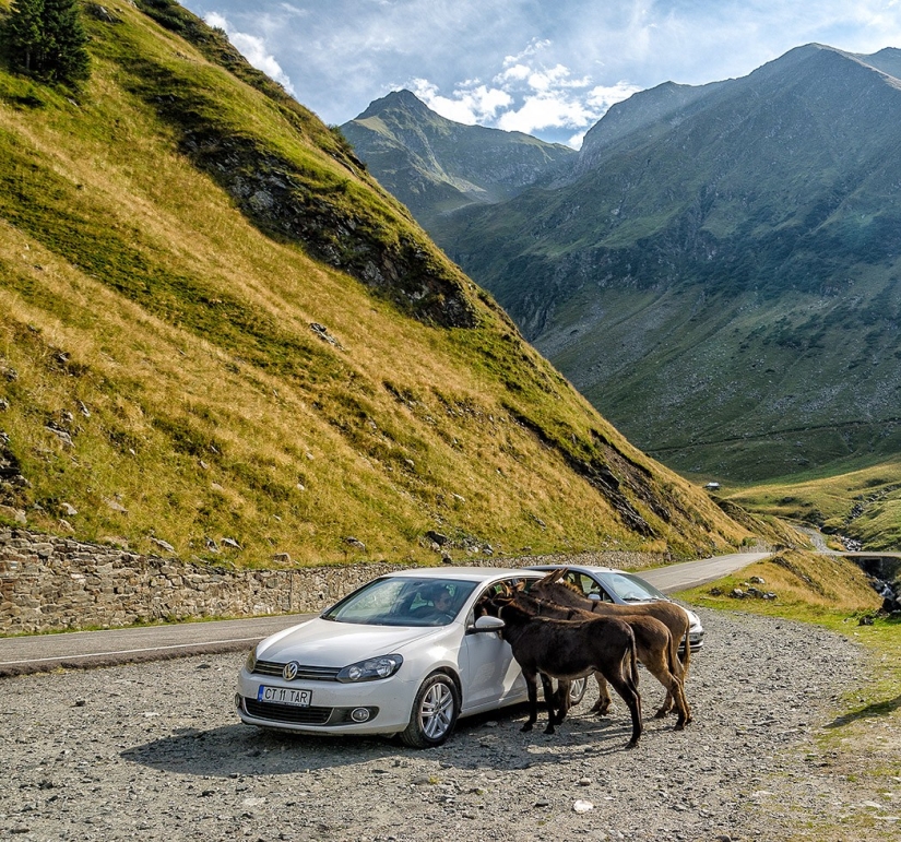 La autopista Transfagaras es una de las rutas más bonitas de Europa La autopista Transfagaras es una de las rutas más bonitas de Europa