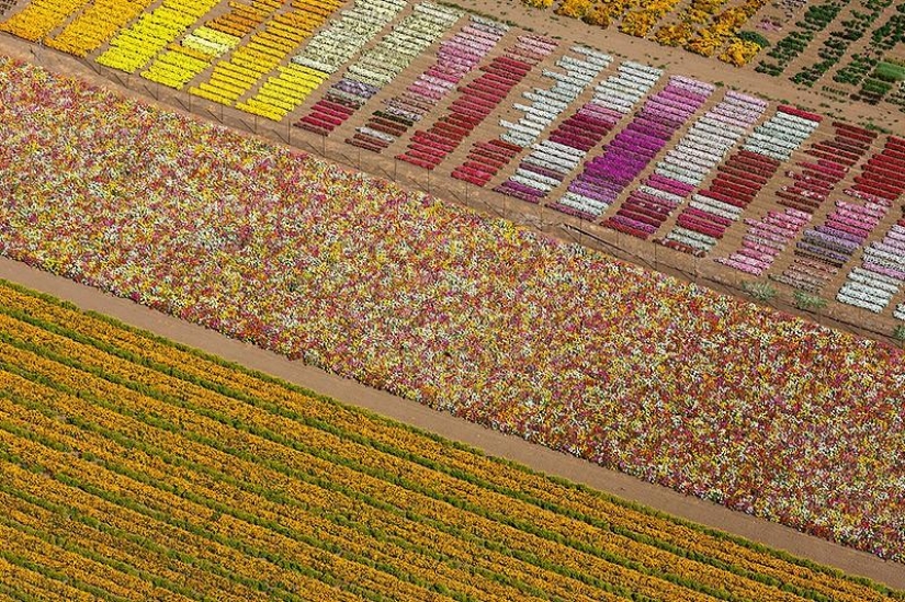 La belleza de nuestro mundo desde arriba