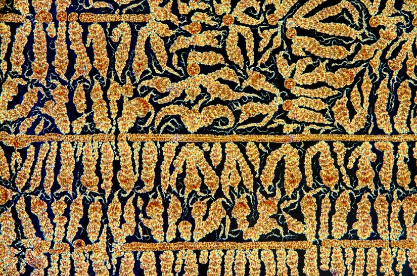 La belleza hechizante del mejor personal científico del año La belleza hechizante del mejor personal científico del año