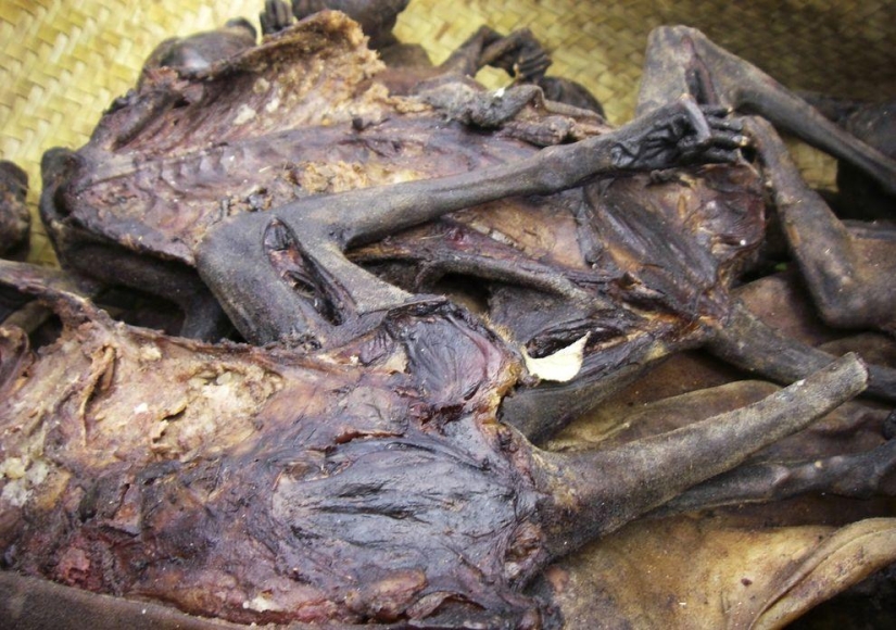 La comida más extrema que puedes comer en este planeta La comida más extrema que puedes comer en este planeta