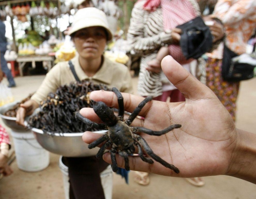 La comida más extrema que puedes comer en este planeta La comida más extrema que puedes comer en este planeta