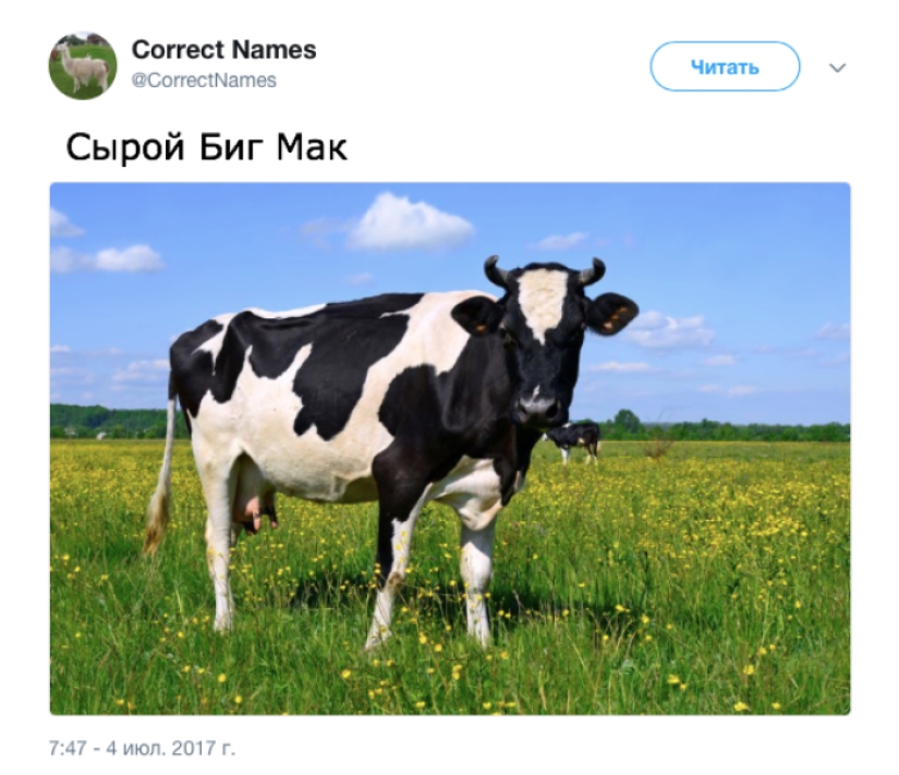 La cuenta de Twitter dio los nombres "correctos" a cosas familiares