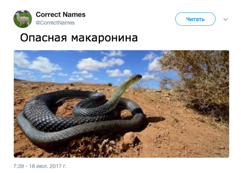 La cuenta de Twitter dio los nombres "correctos" a cosas familiares La cuenta de Twitter dio los nombres "correctos" a cosas familiares