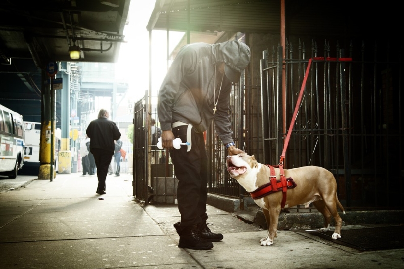 La danza es vida La danza es vida