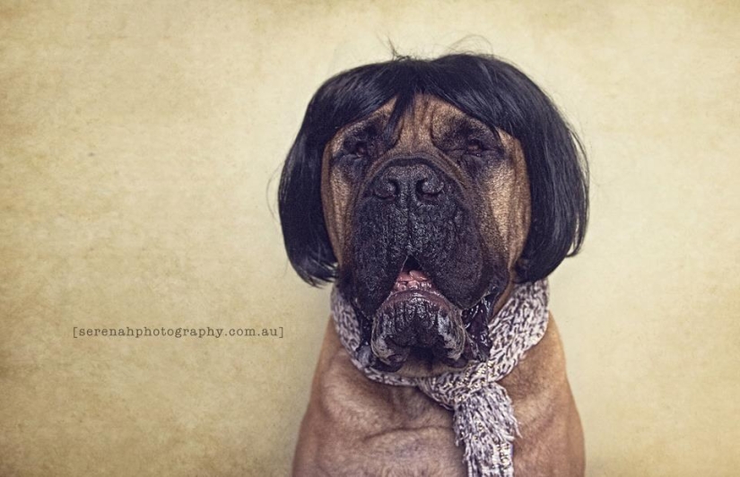 La fotógrafa Serena Hodson y sus amigos de cuatro patas