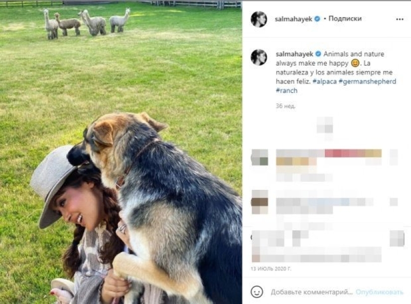 La historia de Salma Hayek, una actriz que salva animales