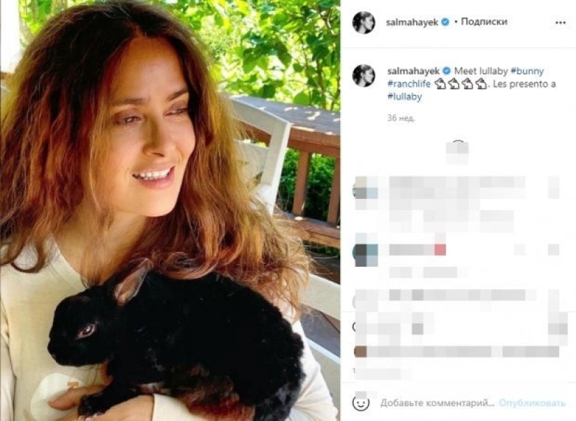 La historia de Salma Hayek, una actriz que salva animales