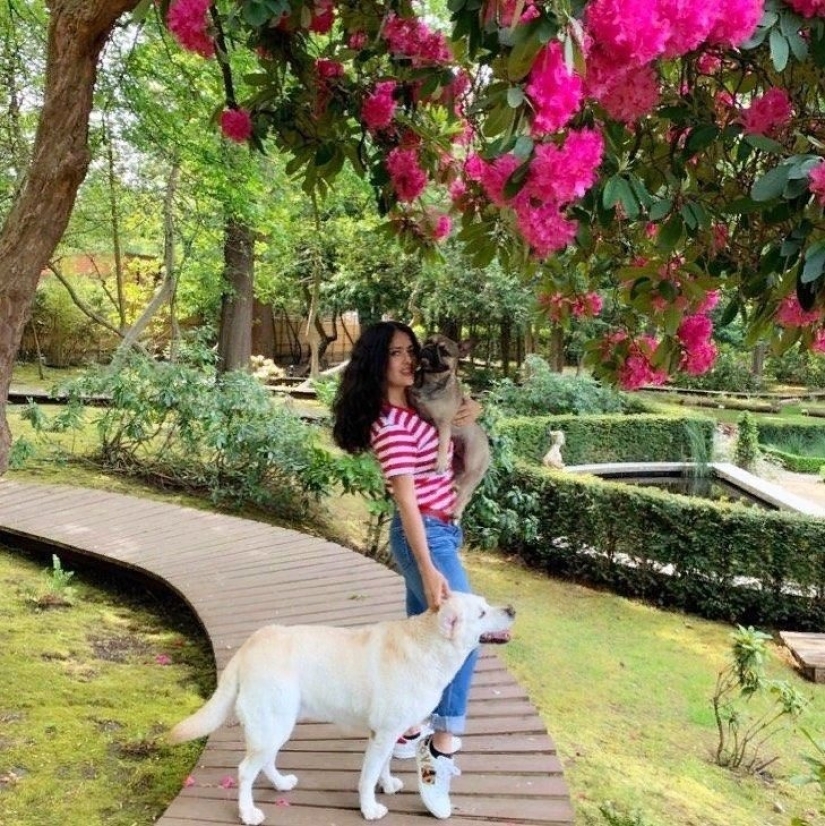 La historia de Salma Hayek, una actriz que salva animales