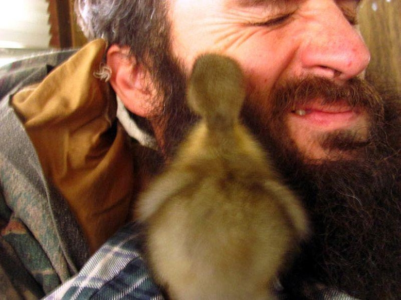 La increíble historia de salvar a un patito... en una barba