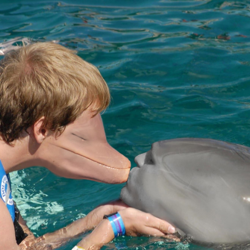 La madre nativa no lo sabrá: cuando el intercambio de caras se convierte en una especie de circo espeluznante