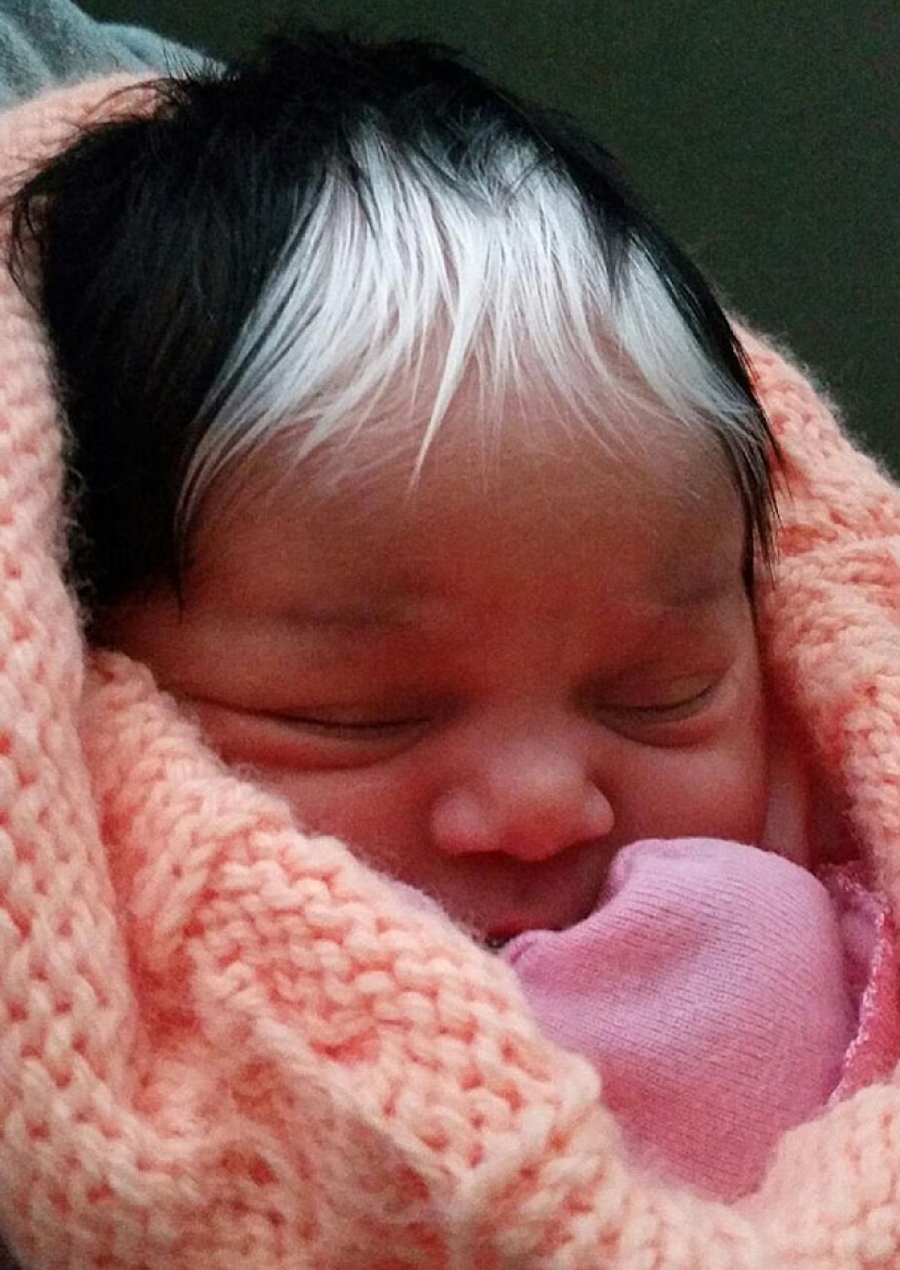 La niña nació con flequillo blanco, exactamente igual que su madre, abuela y bisabuela