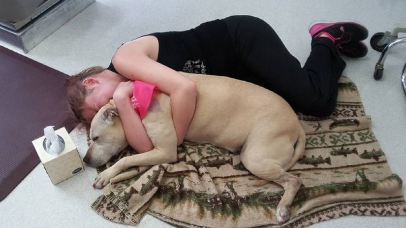 La niña organizó un día de despedida para su amado perro gravemente enfermo antes de la eutanasia