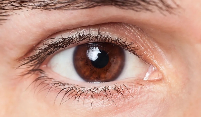 La población mundial por color de ojos