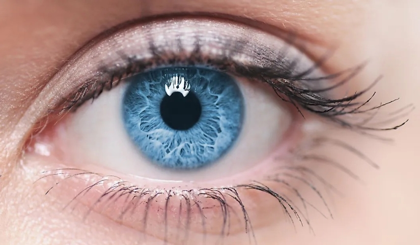 La población mundial por color de ojos