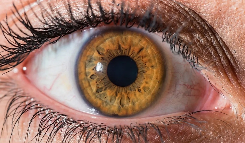 La población mundial por color de ojos