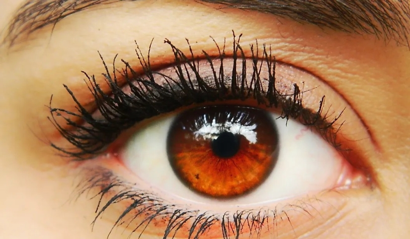 La población mundial por color de ojos