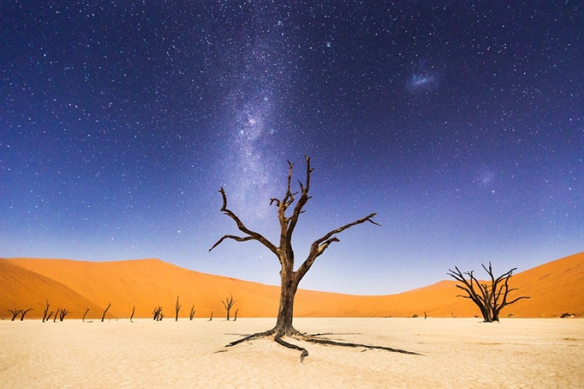 La revista National Geographic nombró a los ganadores del concurso anual de fotografía de viajes