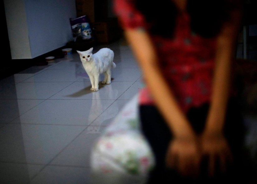 La tragedia de los familiares de los pasajeros desaparecidos del Boeing malasio