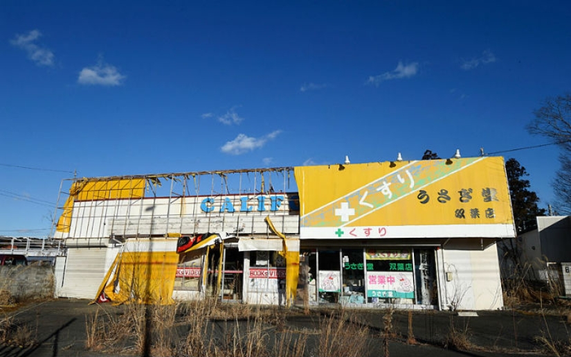 La tragedia japonesa cumple 5 años: cómo lucen hoy las consecuencias del peor desastre del país La tragedia japonesa cumple 5 años: cómo lucen hoy las consecuencias del peor desastre del país