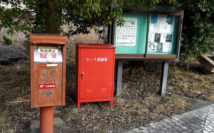 La tragedia japonesa cumple 5 años: cómo lucen hoy las consecuencias del peor desastre del país La tragedia japonesa cumple 5 años: cómo lucen hoy las consecuencias del peor desastre del país