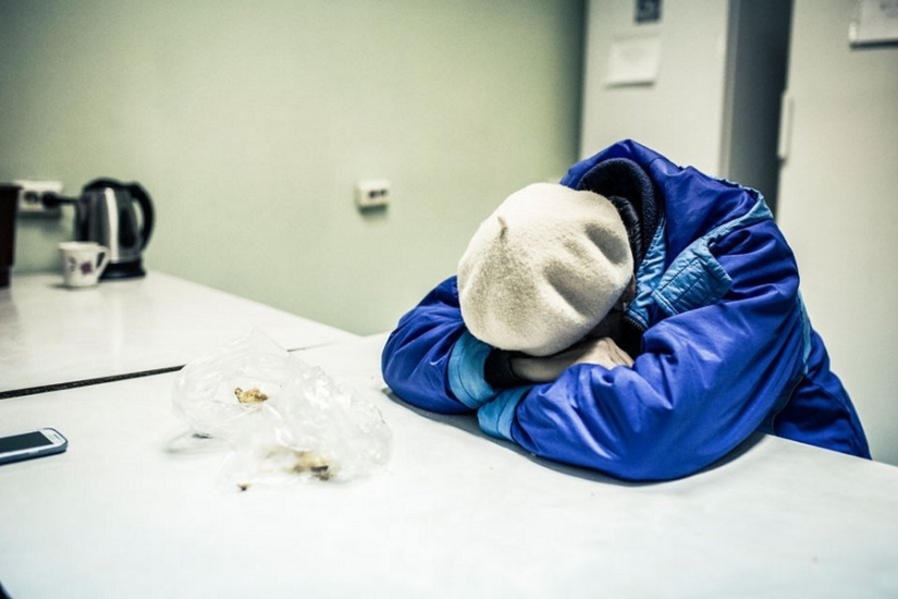 La vida cotidiana de los dueños de loros en todo su esplendor: 14 fotos divertidas