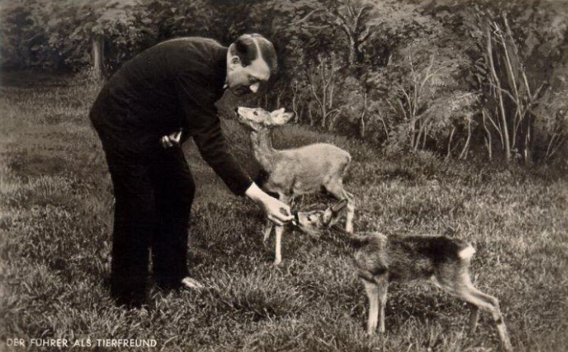 La vida de Adolf Hitler en fotografías