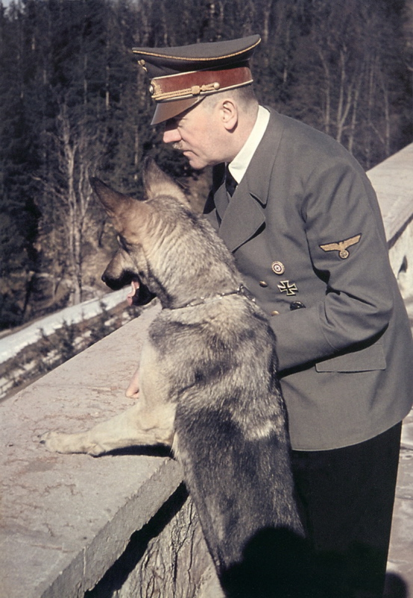 La vida de Adolf Hitler en fotografías