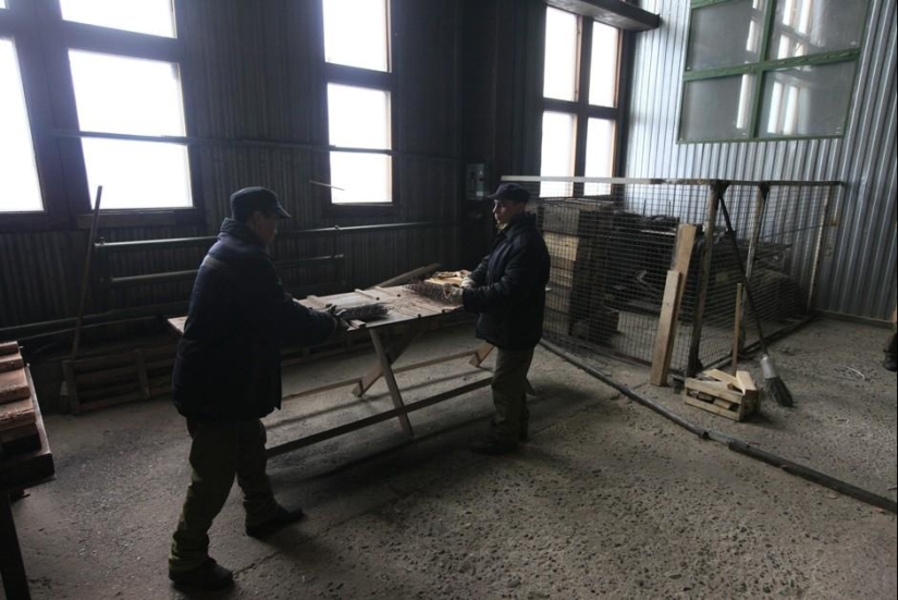 La vida de los presos en las prisiones de Siberia