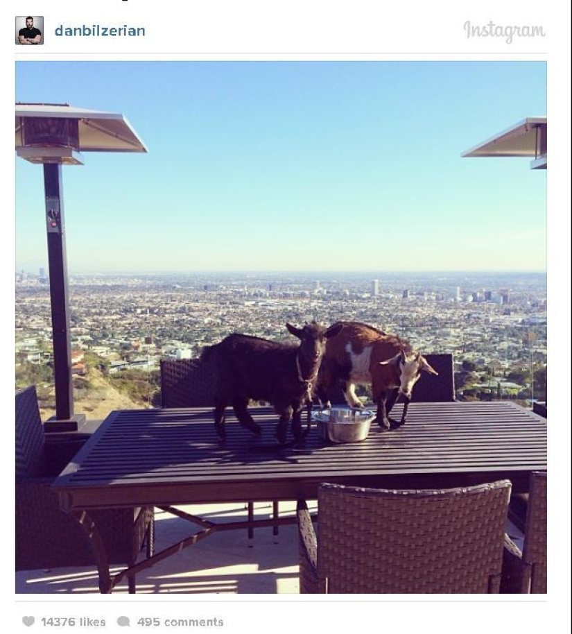 La vida de un playboy, millonario y estrella del póquer en Instagram
