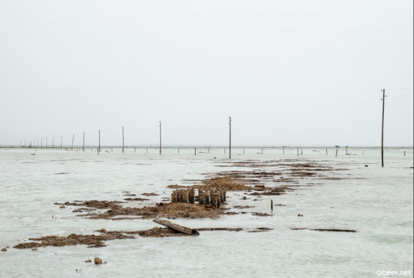 Lago Muerto Baskunchak