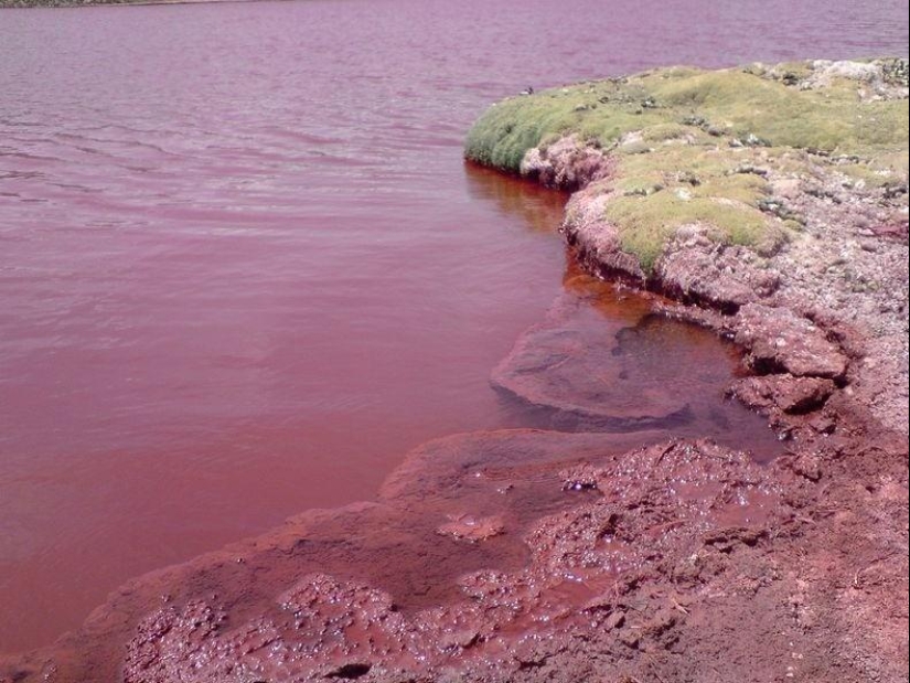 Laguna Roja en Chile