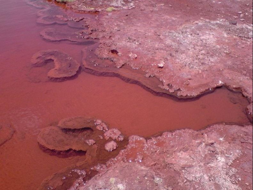 Laguna Roja en Chile