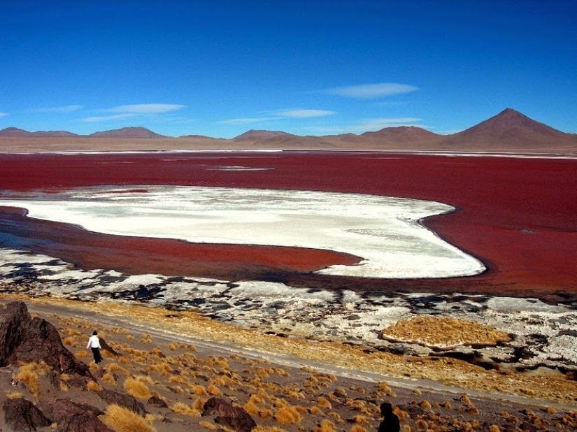 Laguna Sangrienta en Bolivia Laguna Sangrienta en Bolivia